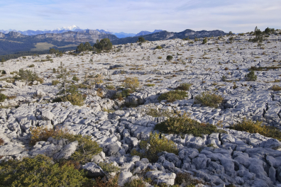 Parmelan - lapiaz 2023